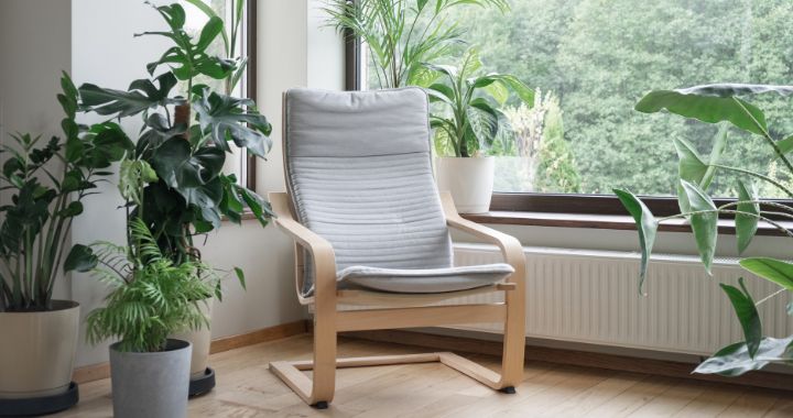 desain ruangan dengan tanaman hias